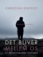 Det bliver mellem os - et adoptivbarns historie