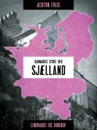 Sjælland af Achton Friis