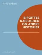 Birgittes kærlighed og andre historier af Harry Søiberg
