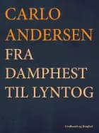 Fra Damphest til Lyntog