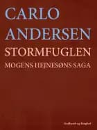 Stormfuglen: Mogens Hejnesøns saga