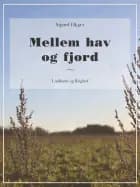 Mellem hav og fjord