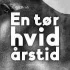 En tør hvid årstid af André Brink