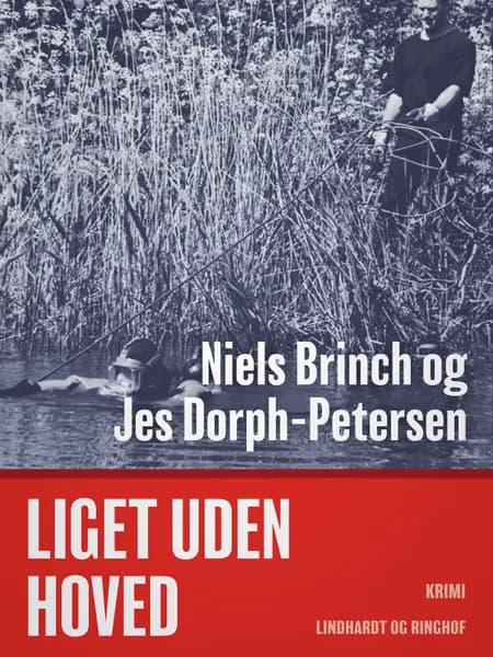 Liget uden hoved af Niels Brinch