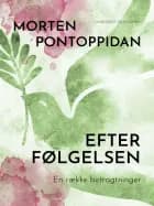 Efterfølgelsen: En række betragtninger af Morten Pontoppidan