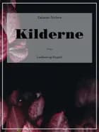 Kilderne