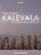 Kalevala: Ni historier fra det gamle Finland af Peter Dürrfeld