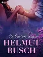 Avbruten resa af Helmut Busch