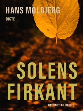 Solens firkant af Hans Mølbjerg