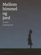 Mellem himmel og jord