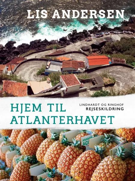 Hjem til Atlanterhavet af Lis Andersen