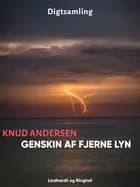 Genskin af fjerne lyn af Knud Andersen