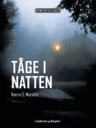 Tåge i natten af Karsten S. Mogensen