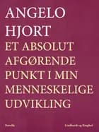 Et absolut afgørende punkt i min menneskelige udvikling af Angelo Hjort