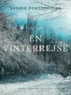 En vinterrejse