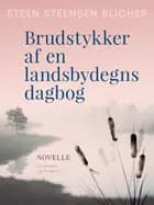 Brudstykker af en landsbydegns dagbog af Steen Steensen Blicher