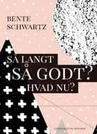 Så langt - Så godt? Hvad nu? af Bente Schwartz