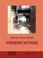 Vindens skygge (storskrift)