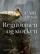 Regnormen og storken