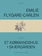 Et købmandshus i skærgården - Bind 3