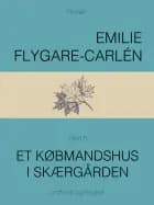 Et købmandshus i skærgården - Bind 5