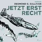 Jetzt erst recht - Fliegergeschichten nr. 8
