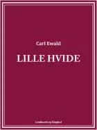 Lille Hvide
