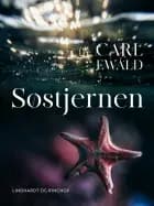 Søstjernen