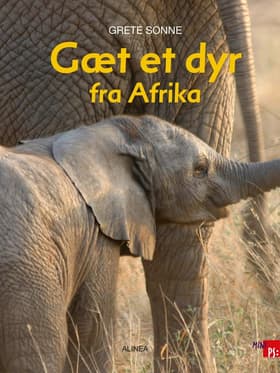Gæt et dyr fra Afrika af Grete Sonne