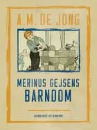 Merinus Gejsens barndom af A. M. De Jong