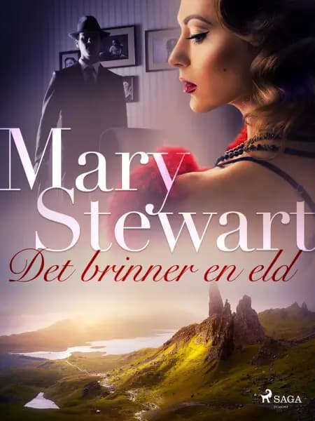 Det brinner en eld af Mary Stewart