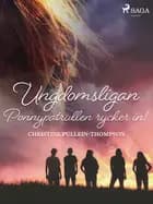 Ungdomsligan: Ponnypatrullen rycker in! af Christine Pullein Thompson
