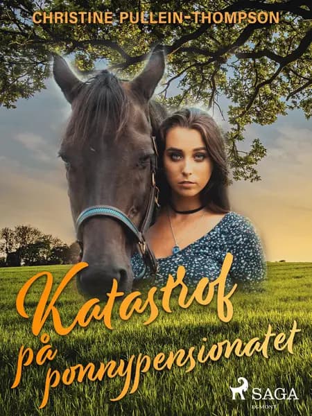 Katastrof på ponnypensionatet af Christine Pullein Thompson