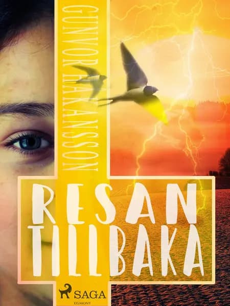 Resan tillbaka af Gunvor Håkansson