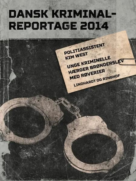 Unge kriminelle hærger Brønderslev med røverier af Kim West