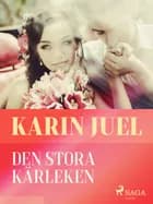 Den stora kärleken af Karin Juel