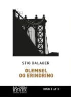 Glemsel og erindring (Storskrift)
