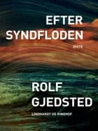 Efter syndfloden af Rolf Gjedsted