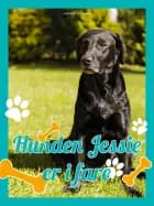 Hunden Jessie i fare