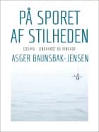 På sporet af stilheden