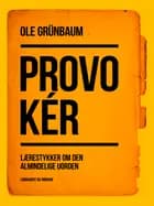 Provokér: Lærestykker om den almindelige uorden