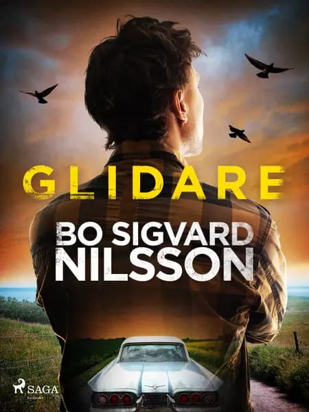 Glidare af Bo Sigvard Nilsson
