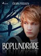 Boplundrare af Örjan Persson