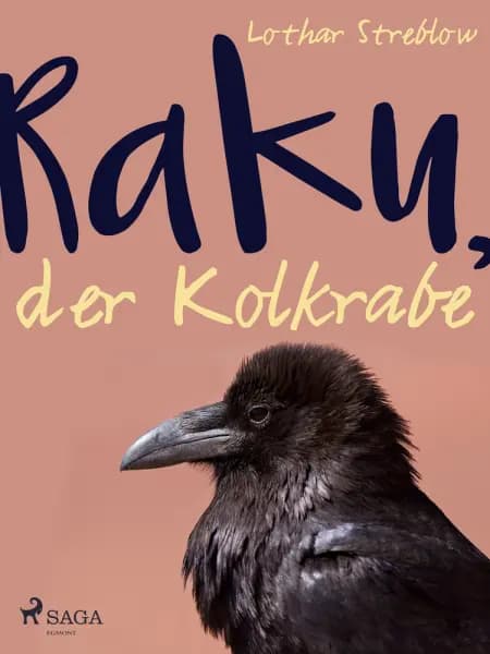 Raku, der Kolkrabe af Lothar Streblow