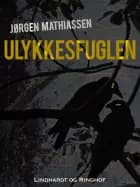 Ulykkesfuglen af Jørgen Mathiassen