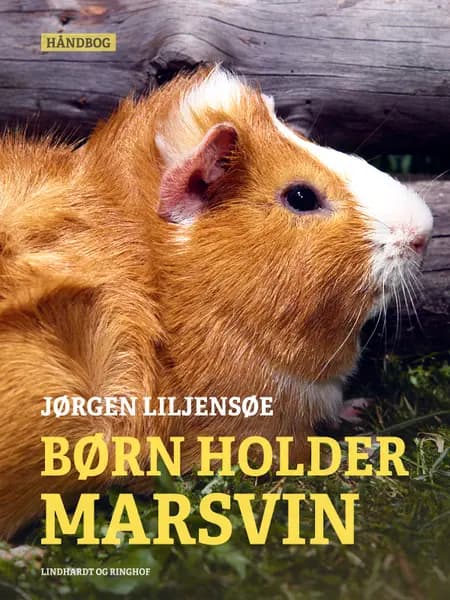 Børn holder marsvin af Jørgen Liljensøe