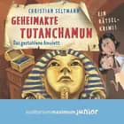 Geheimakte Tutanchamun - Das gestohlene Amulett. Ein Rätselkrimi af Christian Seltmann