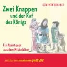 Zwei Knappen und der Ruf des Königs - Ein Abenteuer aus dem Mittelalter