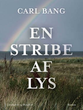 En stribe af lys af Carl Bang
