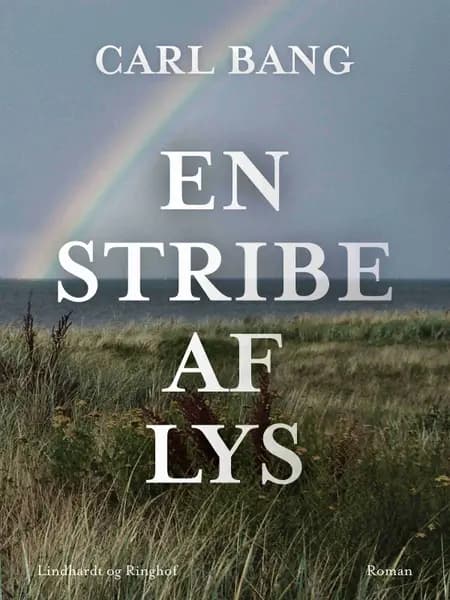 En stribe af lys af Carl Bang